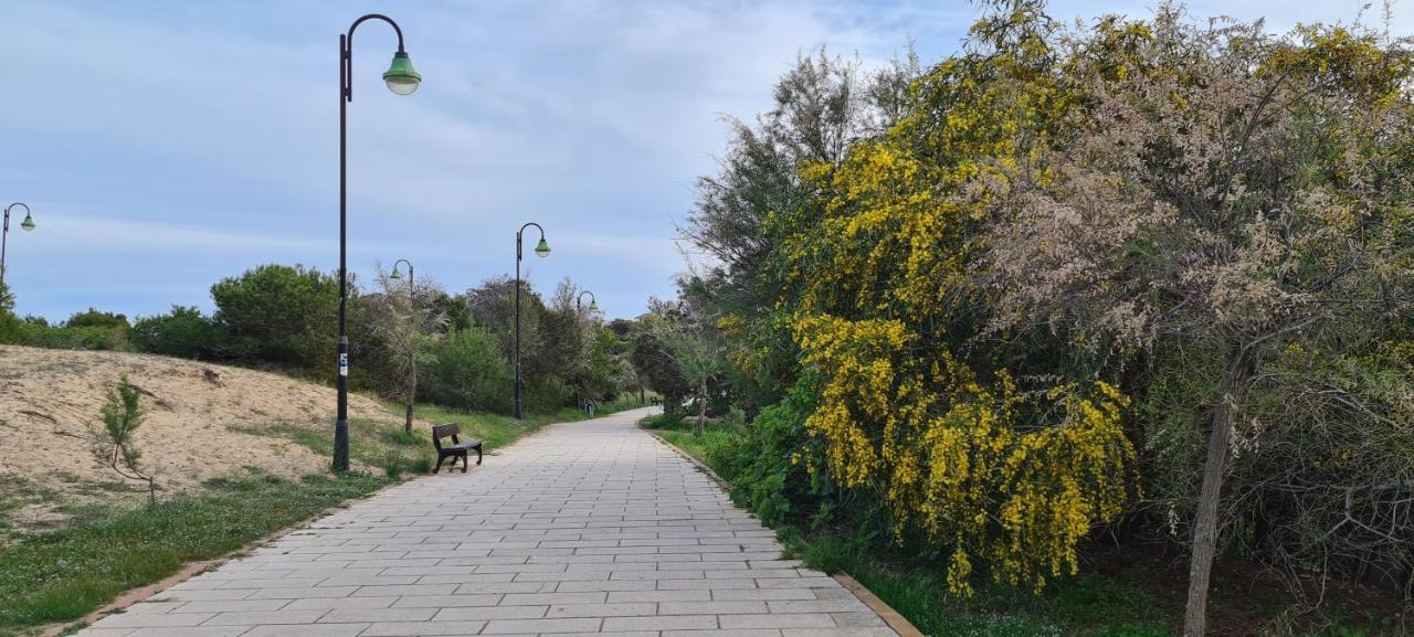 Apartament Sofia La Mata La Mata  Zewnętrze zdjęcie