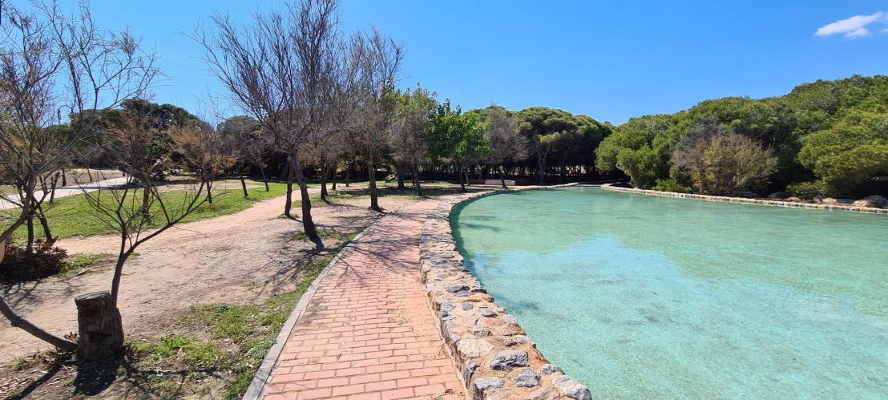 Apartament Sofia La Mata La Mata  Zewnętrze zdjęcie