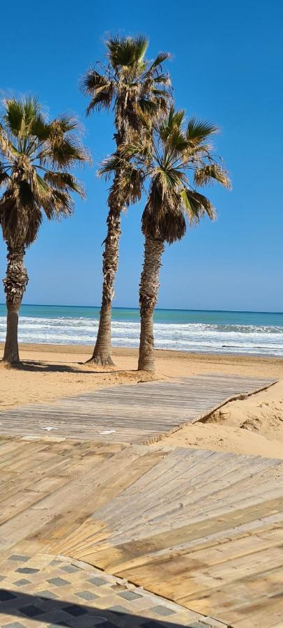 Apartament Sofia La Mata La Mata  Zewnętrze zdjęcie