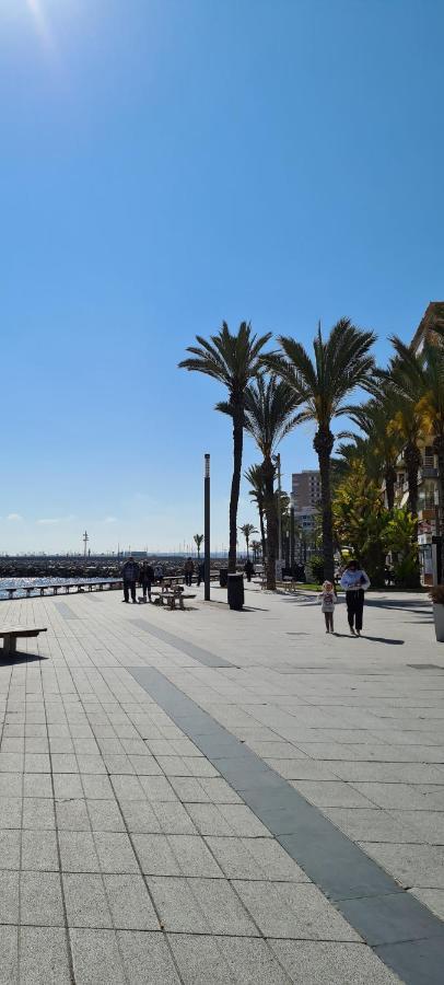 Apartament Sofia La Mata La Mata  Zewnętrze zdjęcie